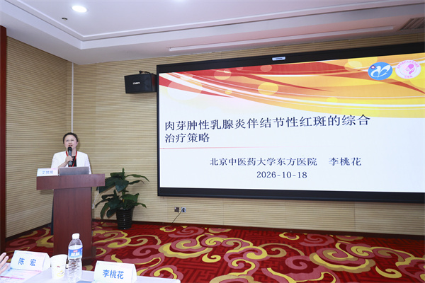 9李桃花-发言.JPG